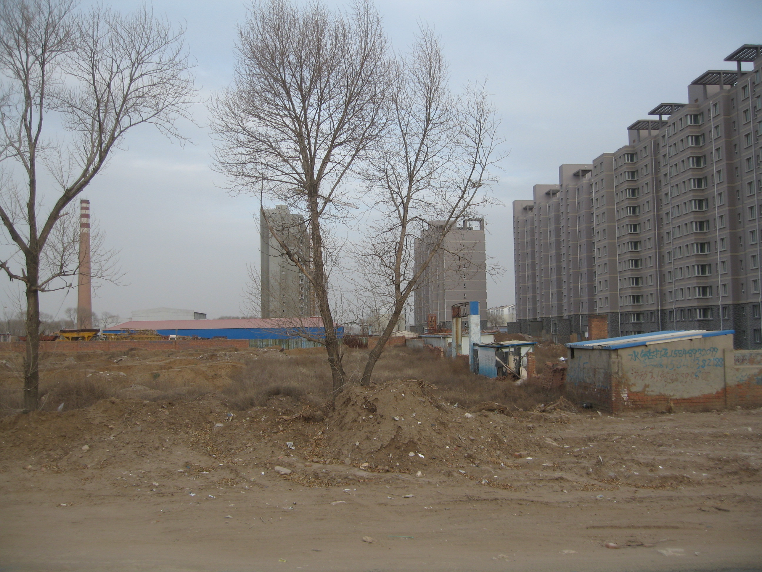 IMG_0175.jpg IMG_0175.jpg